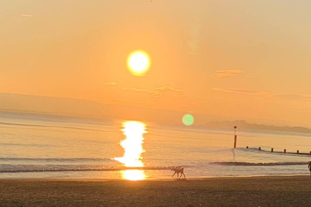 Bournemouth Nr Town Beach Train Coach Shops Lovely Entire Apartment Allows Quiet Good Dogs Dış mekan fotoğraf