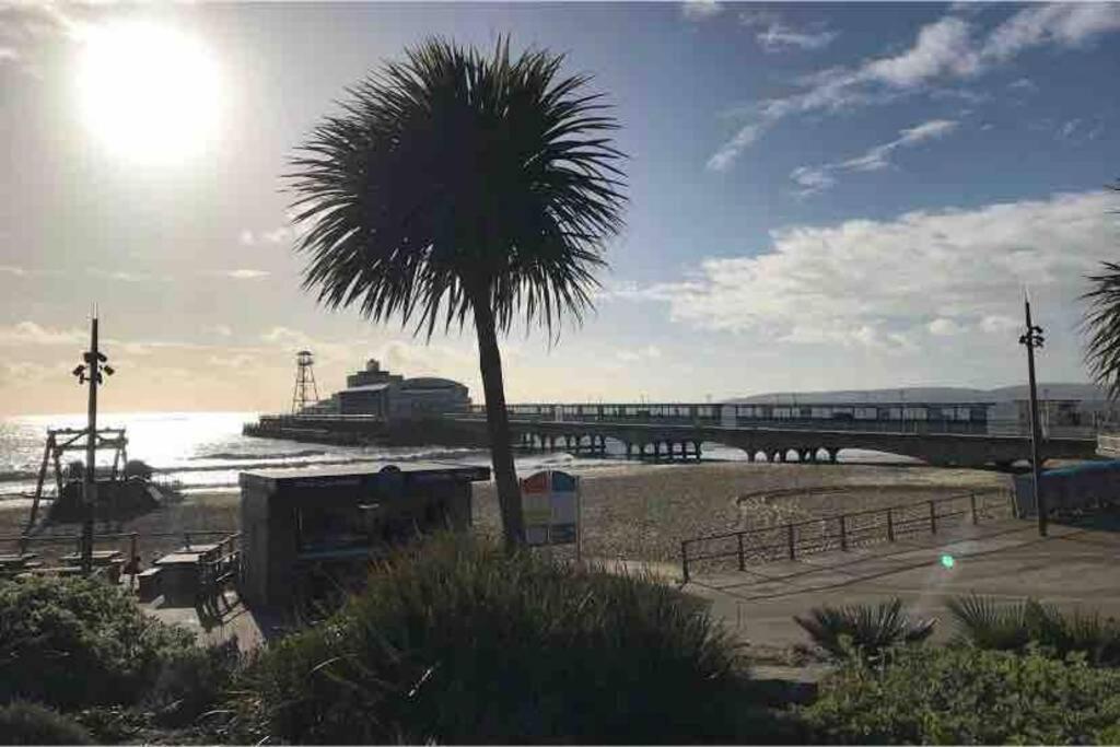Bournemouth Nr Town Beach Train Coach Shops Lovely Entire Apartment Allows Quiet Good Dogs Dış mekan fotoğraf