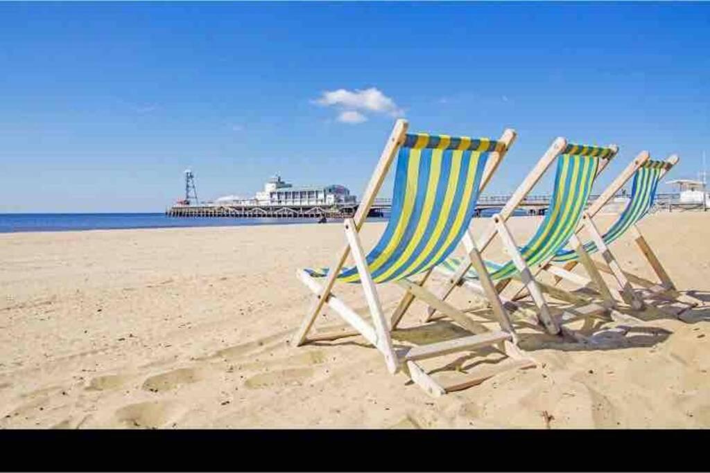 Bournemouth Nr Town Beach Train Coach Shops Lovely Entire Apartment Allows Quiet Good Dogs Dış mekan fotoğraf