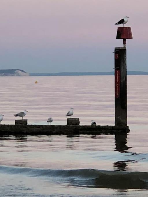 Bournemouth Nr Town Beach Train Coach Shops Lovely Entire Apartment Allows Quiet Good Dogs Dış mekan fotoğraf